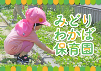 みどりわかば保育園